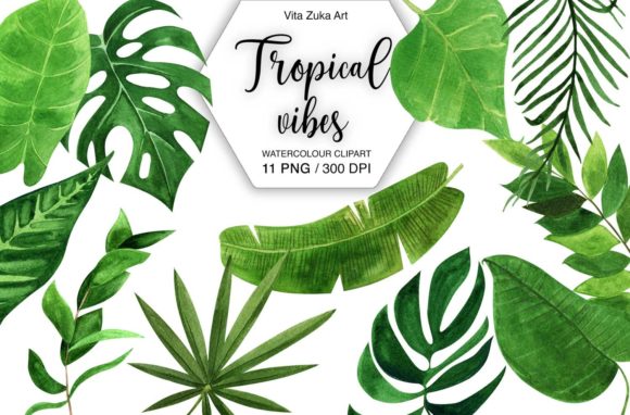 Download Watercolor Tropical Leaves Clipart - Leaves Collection